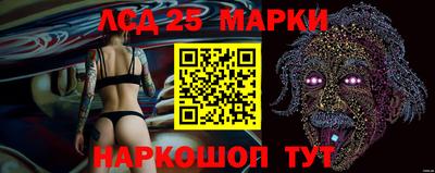 дмт Славгород