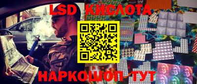 дмт Славгород