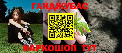 дмт Славгород