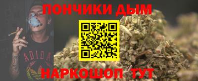 дмт Славгород