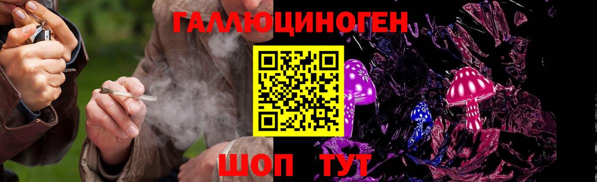 Галлюциногенные грибы мухоморы  Галлюциногенные грибы Magic Shrooms  Вход с VPN  Новосибирск 